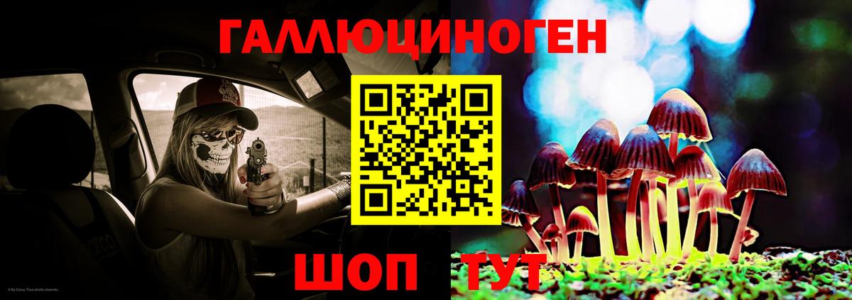 Дедовск  Галлюциногенные грибы Psilocybe  Вход с VPN 