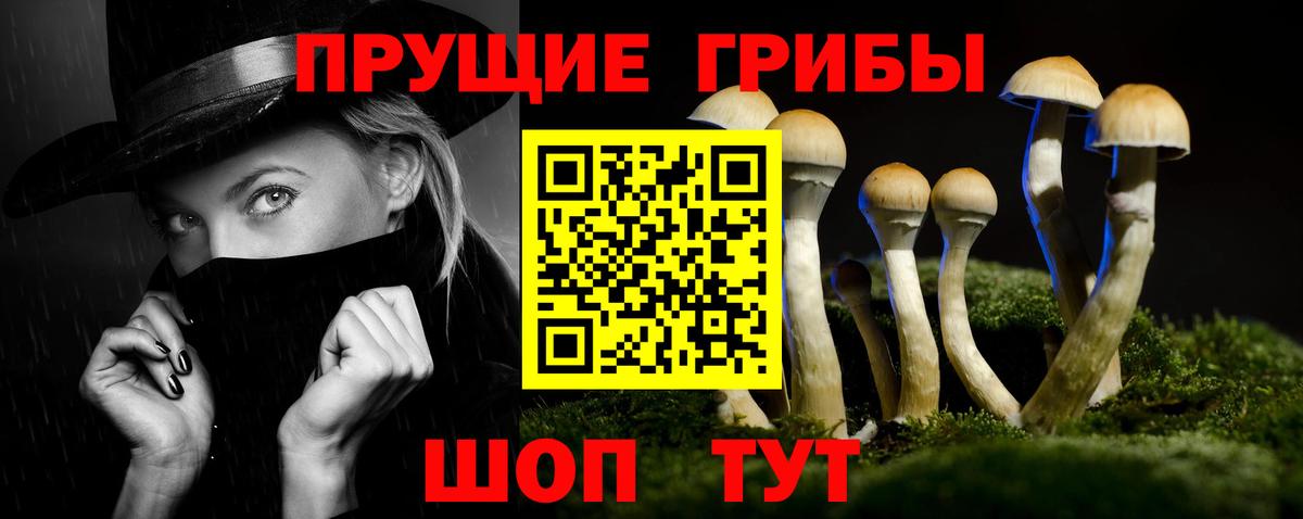 Псилоцибиновые грибы мицелий Дедовск